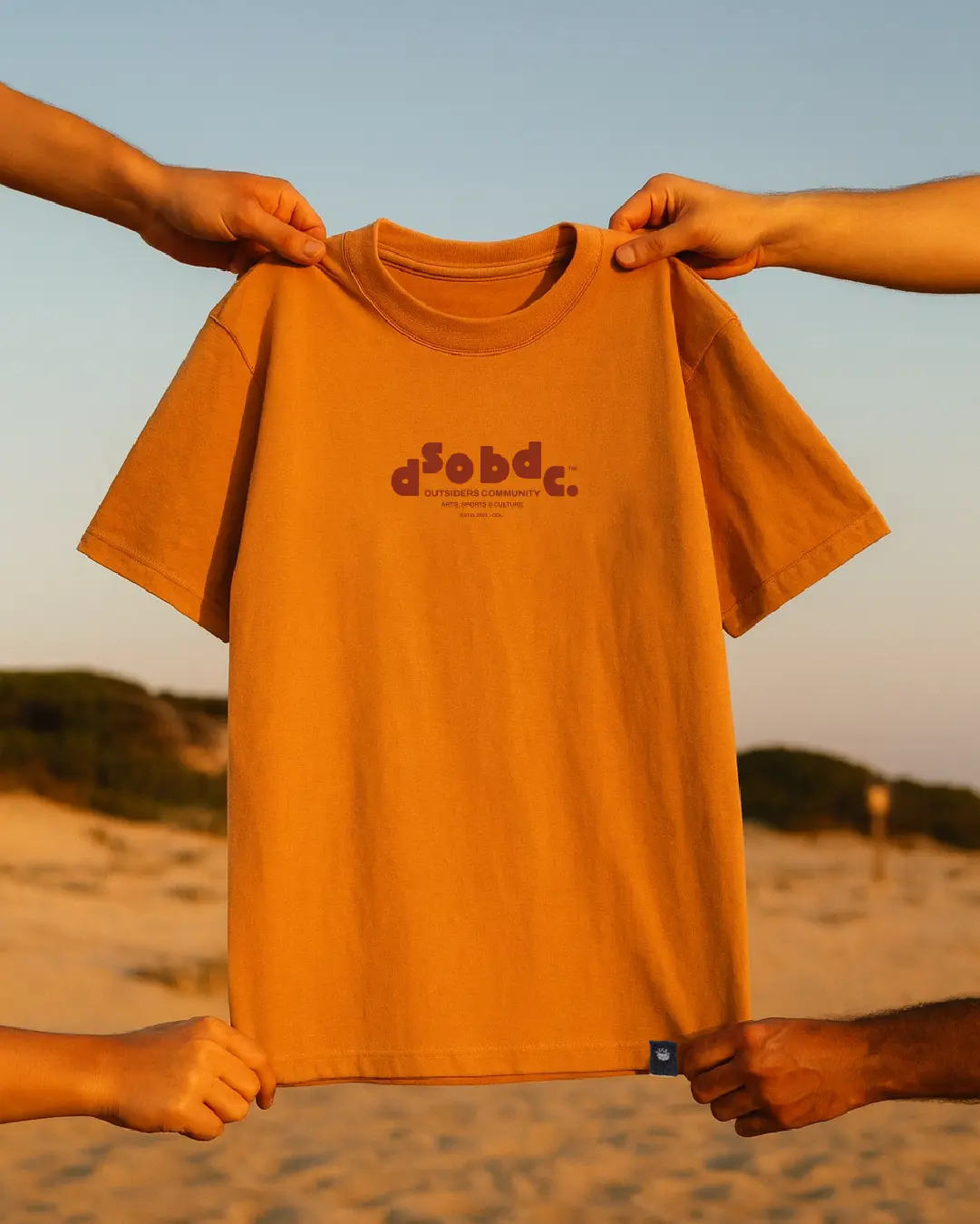 Art sports & culture - Imagen 3